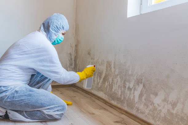 Crawl Space Mold Removal in Winnsboro, LA