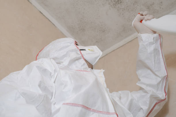 Best Crawl Space Mold Removal  in Winnsboro, LA