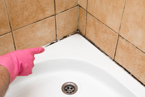 Best Residential Mold Removal  in Winnsboro, LA
